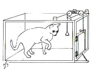 Thorndike's cat experiment. Image borrowed from: History of Psychology: American Behaviorism. Click on the picture to follow the link.  