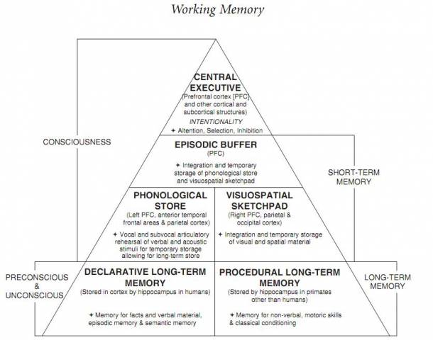   A modiﬁcation of Baddeley’s working memory model extended with long-term memory components. Image borrowed from: Coolidge, Frederick L., and Thomas Wynn. The Rise of Homo sapiens: The Evolution of Modern Thinking. Wiley-Blackwell, 2009.  